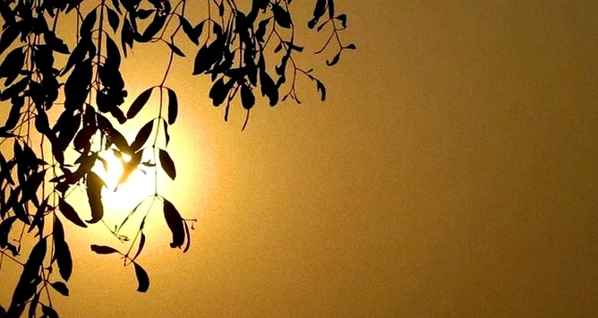 30句打工人专属励志箴言：熬过苦累，终遇繁花